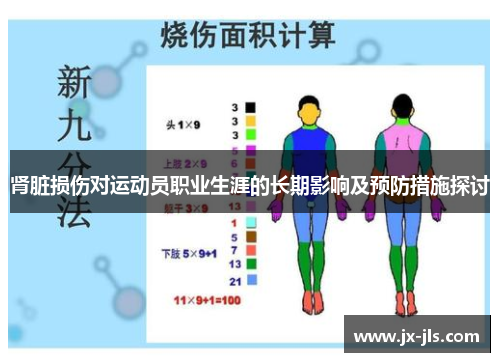 肾脏损伤对运动员职业生涯的长期影响及预防措施探讨
