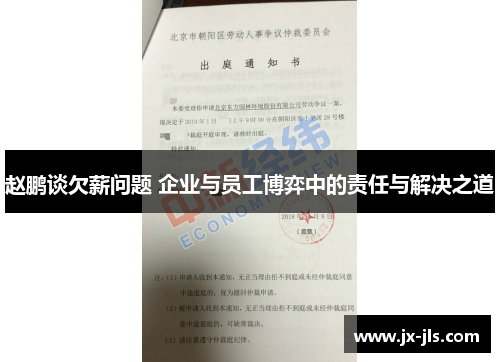 赵鹏谈欠薪问题 企业与员工博弈中的责任与解决之道