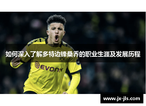 如何深入了解多特边锋桑乔的职业生涯及发展历程